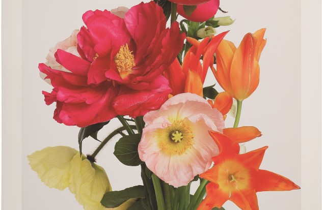 Quotidien Cnap Adra. Pierre Joseph Bouquet